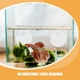 thumbnail image 3 of unbranded 3Ud Acrílico Con Ventosa Para Pecera De Betta Para Estimulación Y Duradera, 3 of 8
