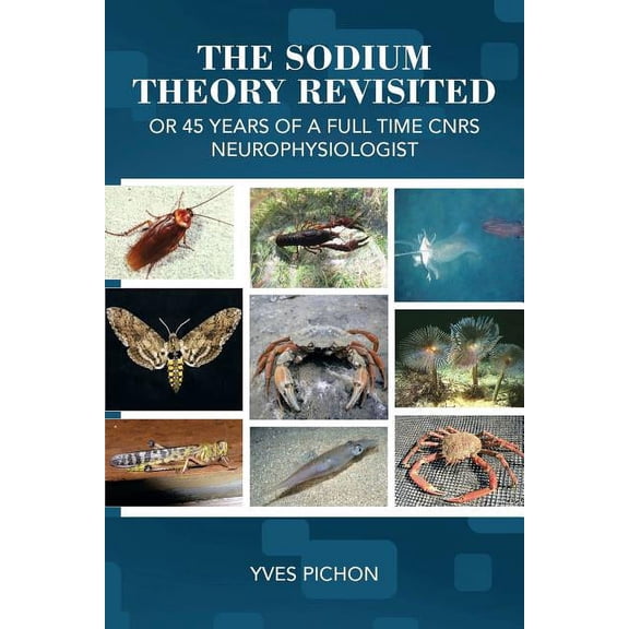The Sodium Theory Revisited (Paperback)
