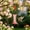 Pink-Free Size/PK, variant on Glass Hanging Hummingbird Feeder Outdoor Red Flower Ports Leak Proof Ant Moat Wild Bird Feeder Garden Yard
