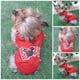 thumbnail image 2 of Jersey para perro o gato Mi Baúl Love Rojo Talla 3, 2 of 4