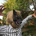 thumbnail image 2 of Bad Wolf with Claw Gloves Mask - Perfect for Carnival, Halloween and Carnival - Adult Costume - Latex, Unisex One Size, 2 of 5