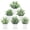 Gray Green, variant on Miracliy 6 Pack Artificial Square Plastic Potted Plants, Gray Green Fake Greenery for Home and Office Desktop Decor