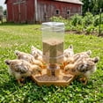 thumbnail image 6 of Quail Feeder and Waterer for Farm,Gravity Auto Poultry Food Dispenser,Dry/Wet Separation,Multi-Functional Water & Feed Container for Chicks,Quails & Small Farm Birds,Gold, 6 of 7