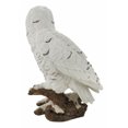 thumbnail image 3 of Beautiful Snowy Owl on a Branch Statue, 3 of 4