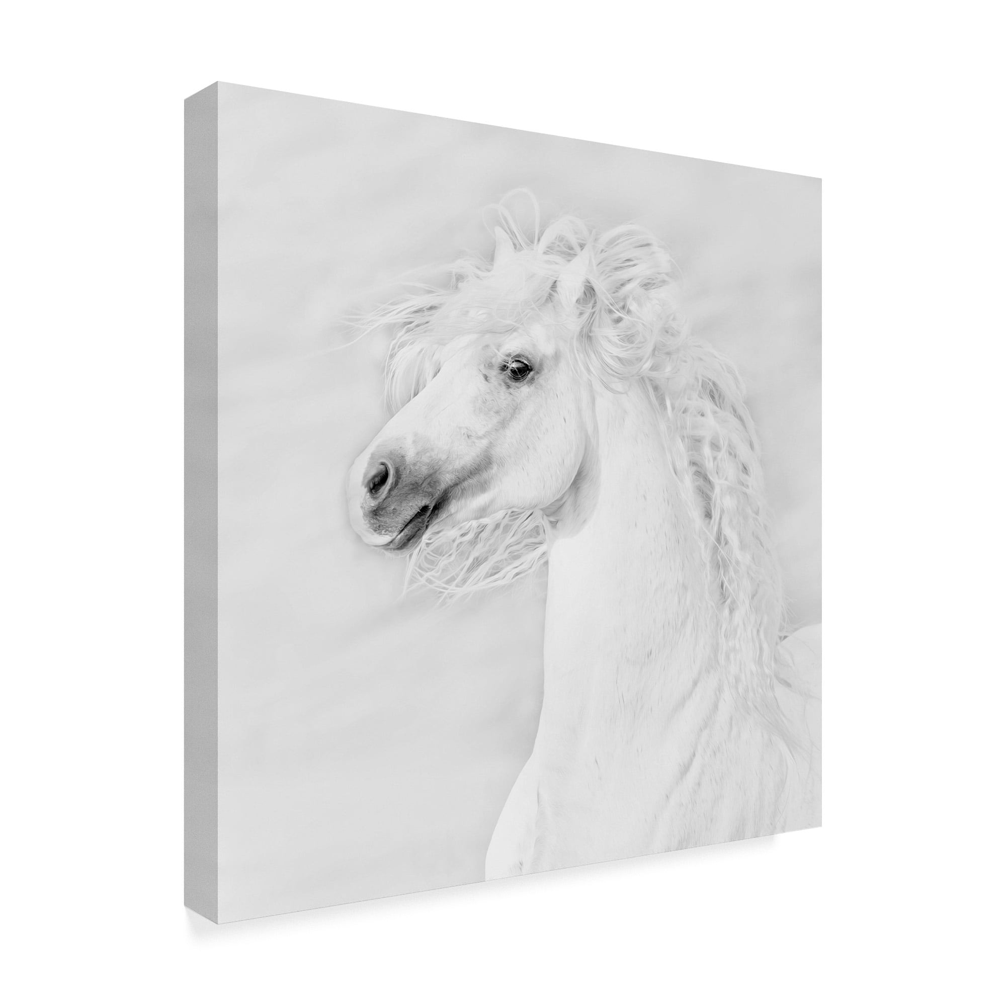 Trademark Fine Art 'Black And White Horses III' Canvas Art by PHBurchett