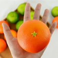 thumbnail image 3 of Coofit Fake Fruit Set Foam: Lifelike Simulation Oranges Artificial Tangerine Photo Prop, 3 of 8