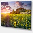 thumbnail image 2 of Fantastic Yellow Field at Sunset - Large Landscape Canvas Art Print, 2 of 4