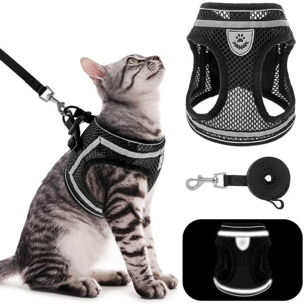 IGUOHAO Ensemble harnais et laisse pour chat – Harnais pour chiot réglable  anti-évasion pour extérieur avec