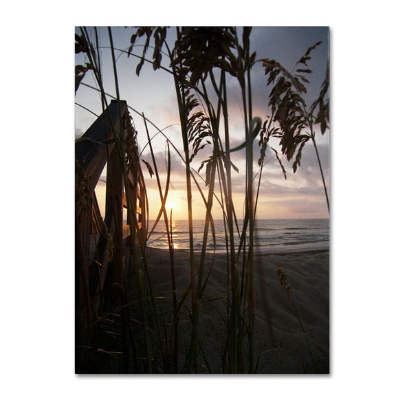 Trademark Fine Art "Hidden Life" Canvas Art by Monica Fleet