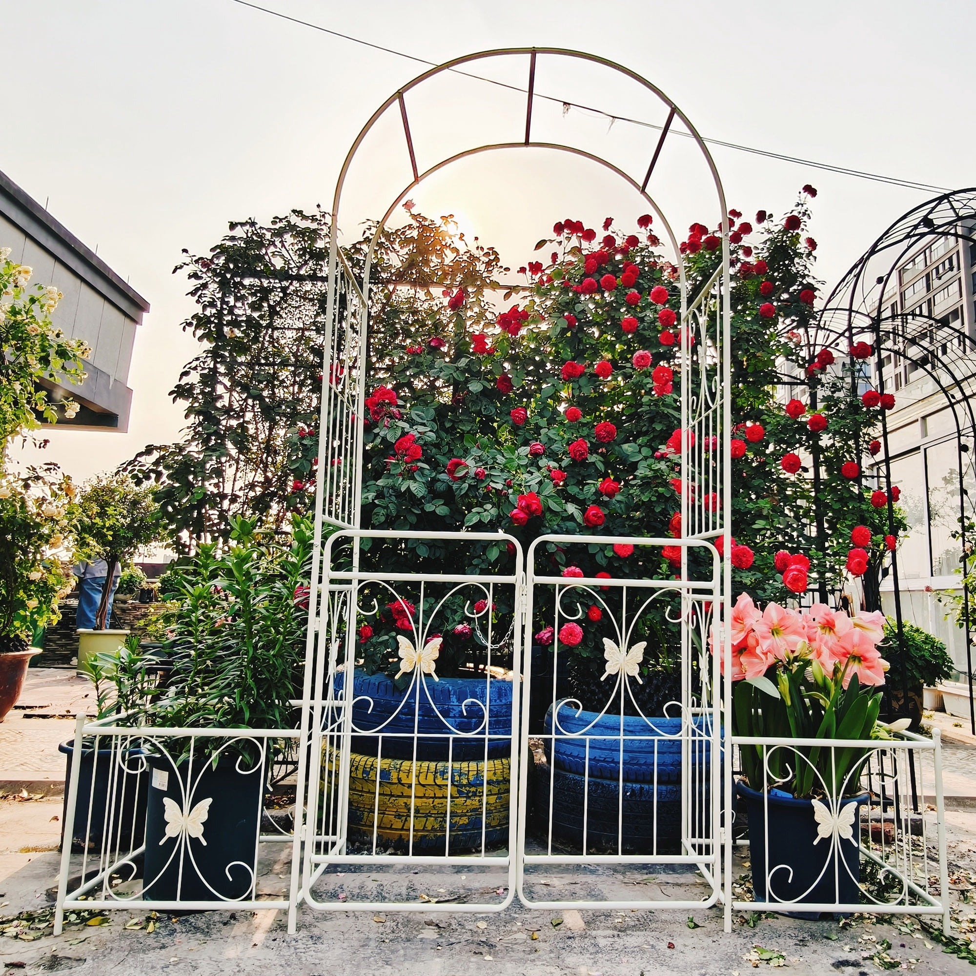 Garden Arch with Gate 79.5" Wide x 86.6" High Climbing Plants Support Rose Arch Outdoor Cream White
