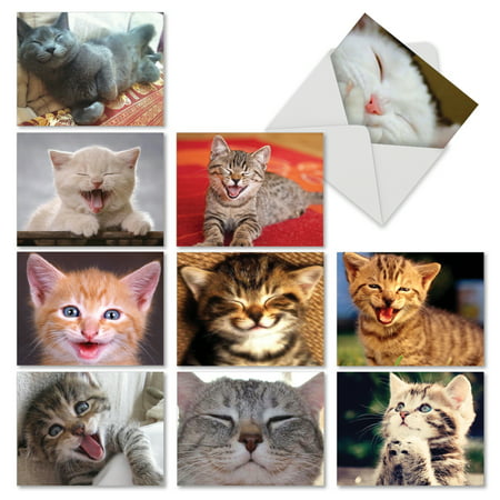 M6485OCB SMITTEN KITTENS' 10 Assorted All Occasions Cards Featuring Adorable Cats and Kittens Putting on Their Biggest Smile with Envelopes by The Best Card (Best Card For Purchases)