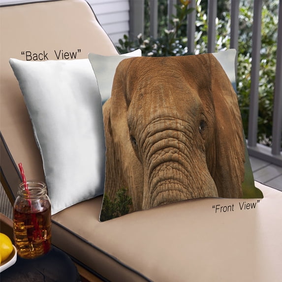 Ahgly Company Animals Elephant Outdoor Throw Pillow, 18 inch by 18 inch