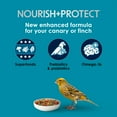 thumbnail image 3 of Kaytee Forti-Diet Pro Health Nourish+Protect Canary & Finch Food 2 pounds, 3 of 13