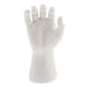 thumbnail image 3 of Plástico Maniquí Maniquí Derecho Mano Para Joyería Reloj Exhibidor Soporte Soporte Modelo Simulado Independiente Negro - Blanco SM SunniMix Mano de maniquí, 3 of 8