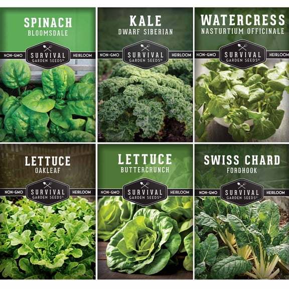 6 Pack Hydroponic Vegetable Seed - Spinach Kale Watercress Oakleaf Buttercrunch Lettuce Swiss Chard