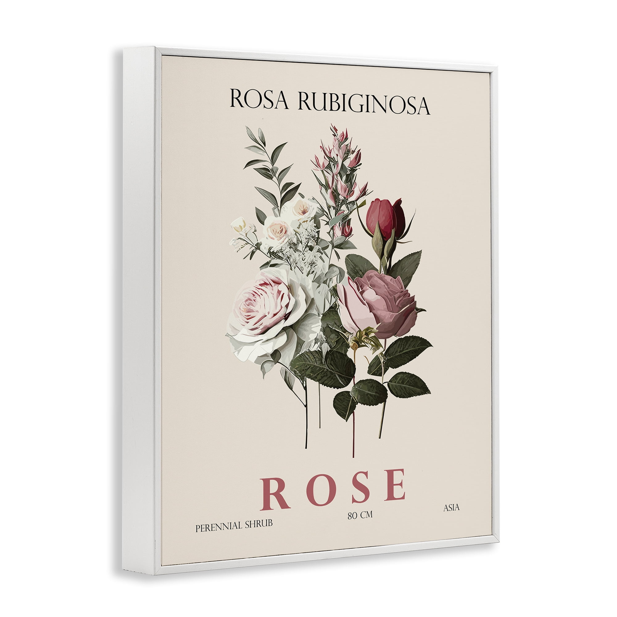Stupell Industries Natural Rose Bundle White Framed Giclee Art, design by Christopher Giampietro