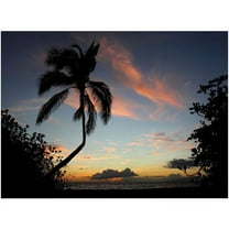 Trademark Fine Art "Tropical Sunset" Canvas Art by Pierre Leclerc