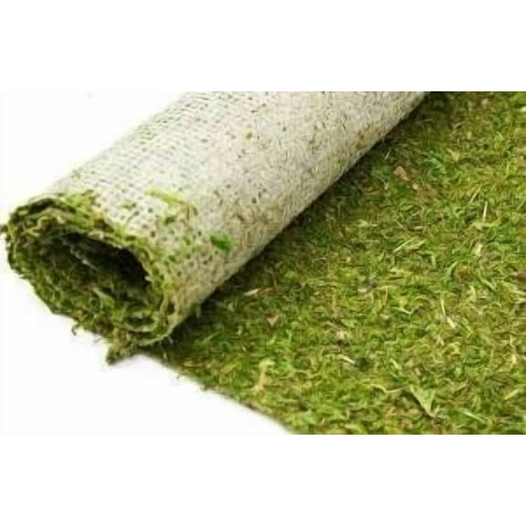 25ft Long X 18''w Moss Runner