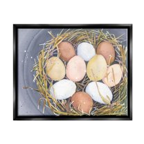 Stupell Industries Bird Nest Eggs Nature Painting Animals & Insects Painting Black Floater Framed Art Print Wall Art