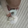 thumbnail image 5 of Ingenuity Premium Soft Plush Ring Rattle - Sheppy the Sheep, Ages Newborn +, 5 of 9