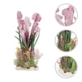thumbnail image 3 of 3 plantas para pecera., 3 of 3