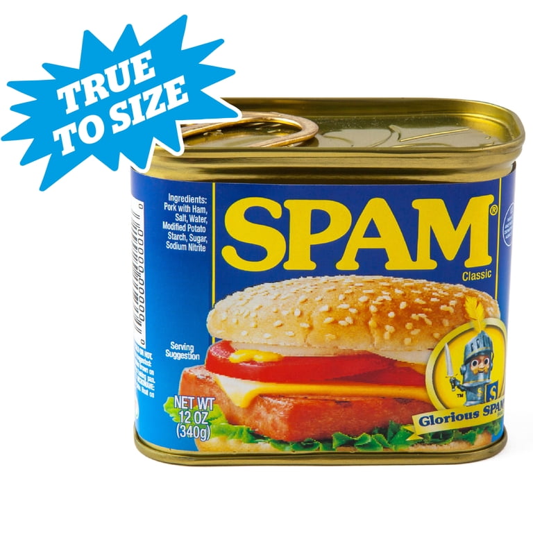 BigMouth Inc SPAM Can Safe — Great Hiding Place for Storing