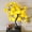 Yellow, variant on Rose Lamp Tree - LED Rose Tree Table Lamp USB/Battery Powered Artificial Bonsai Flower Night Light for Bedroom Living Room Party Wedding Birthday Decor