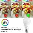 thumbnail image 6 of Venoro LED Light Bulbs Outdoor Automatic On/Off  Sensor Bulb 6500K Daylight Dusk to Dawn, 6 of 19