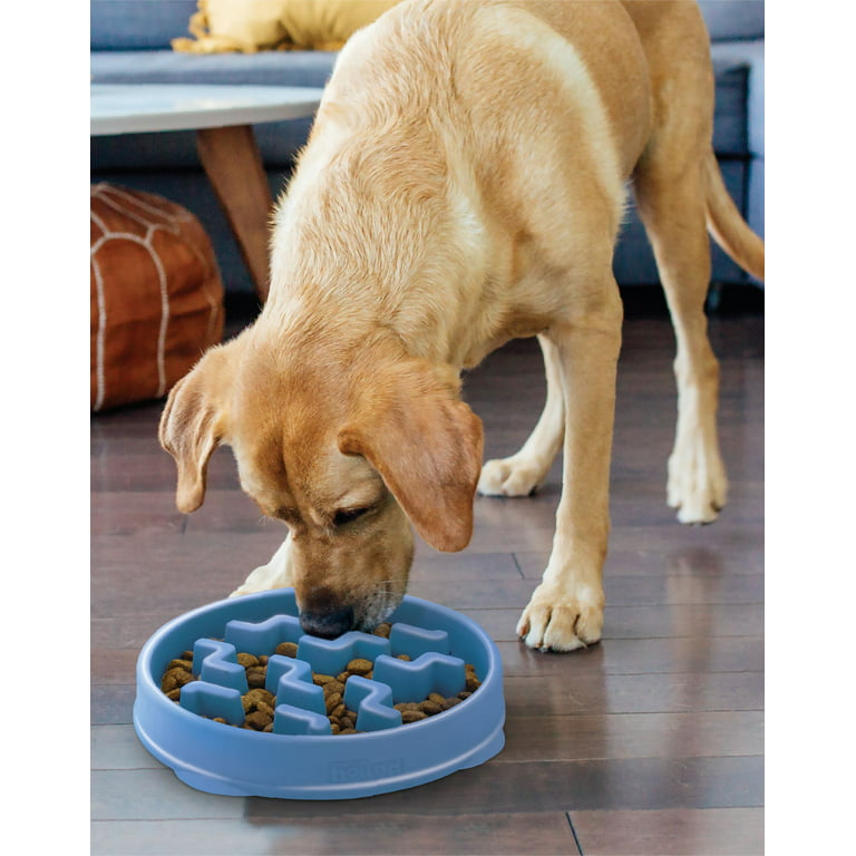 Outward Hound Fun Feeder Regular- Slow Bowl Dog Food Bowl - Howl