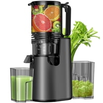Juicer Machines with 5.8" Large Feed Chute, Cold Press Juicer For Whole Vegetables and Fruits, 400W Professional Slow Masticating juicer Easy to Clean for Batch Juicing (Titanium Gray)