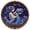 Aquarius, variant on Aries Zodiac Sign 5D Diamond Painting Kit for Adults DIY Rhinestone Art Kit Astrology Star Sign Gem Embroidery for Home Wall Decor Stress Relief Creative Hobby Craft Gift All-in-One Set