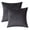 Charcoal, variant on Alchemic Living Set of 2 Black Luxurious Soft Velvet Rectangle Pillow Covers 20x30 Inch (50x75 CM) - Solid Decorative Concealed Zipper Cushion Covers for Sofa, Couch, Living Room
