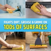 Pine-Sol Multi-Surface Floor Cleaner, Refreshing Clean, 24 Fluid Ounces