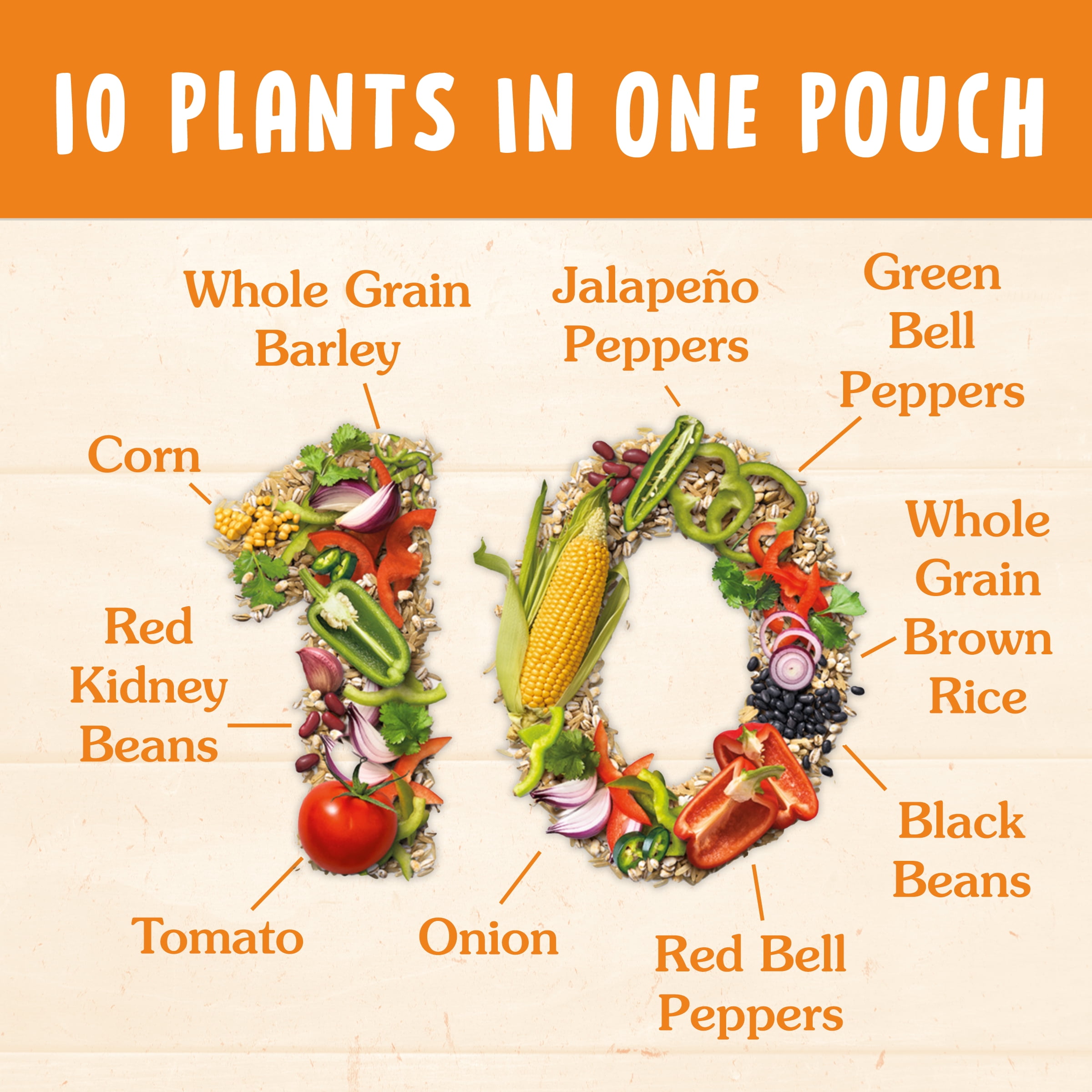 (2 pack) BEN'S ORIGINAL 10 MEDLEY Smoky Southwest, Side Dish, 8.5 oz Pouch