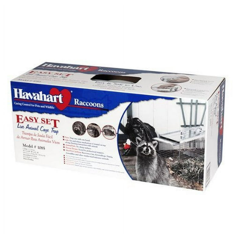 How to Set: Havahart® Large 1-Door Trap Model #1079 for Raccoons, Cats,  Groundhogs and Opossums 