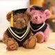 thumbnail image 5 of Peluche de 20 cm del Dr. Bear, un oso de peluche suave y kawaii, ideal como regalo de graduación o Navidad para niños y niñas., 5 of 6