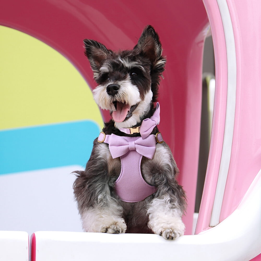 Didog Cute Small Dog Vest Harness & Collar & Leash & Poo Bag Holder set for Puppy Cats Pet Yorkie