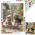 thumbnail image 1 of Con Cuentas Cuadradas 5D DIY Kit Cachorro Yorkshire Del 30x40cm, 1 of 9