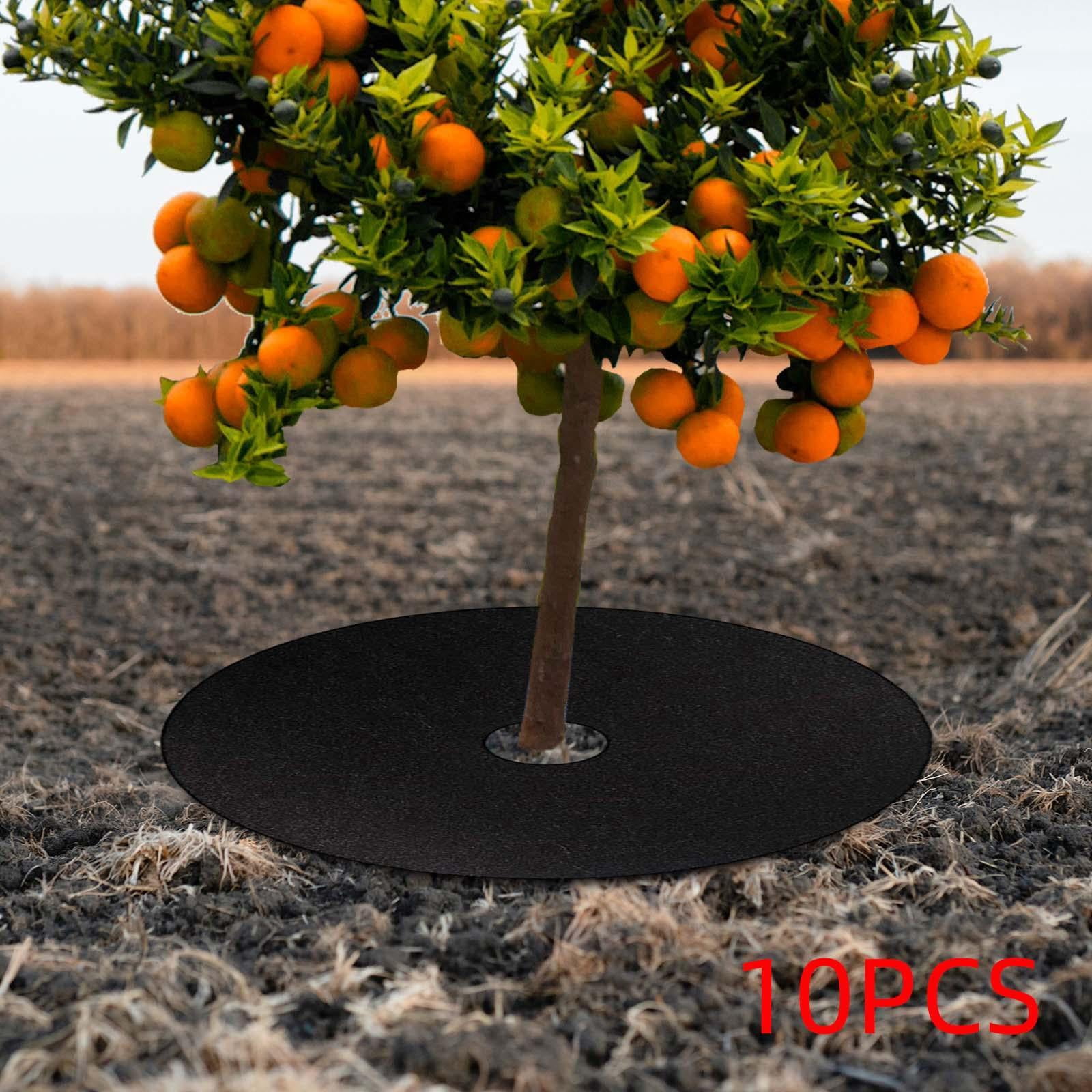 FashionCha 10 Pieces Tree Mulch Rings for Weed Control Fruit Tree Protector Thickened Plant Black