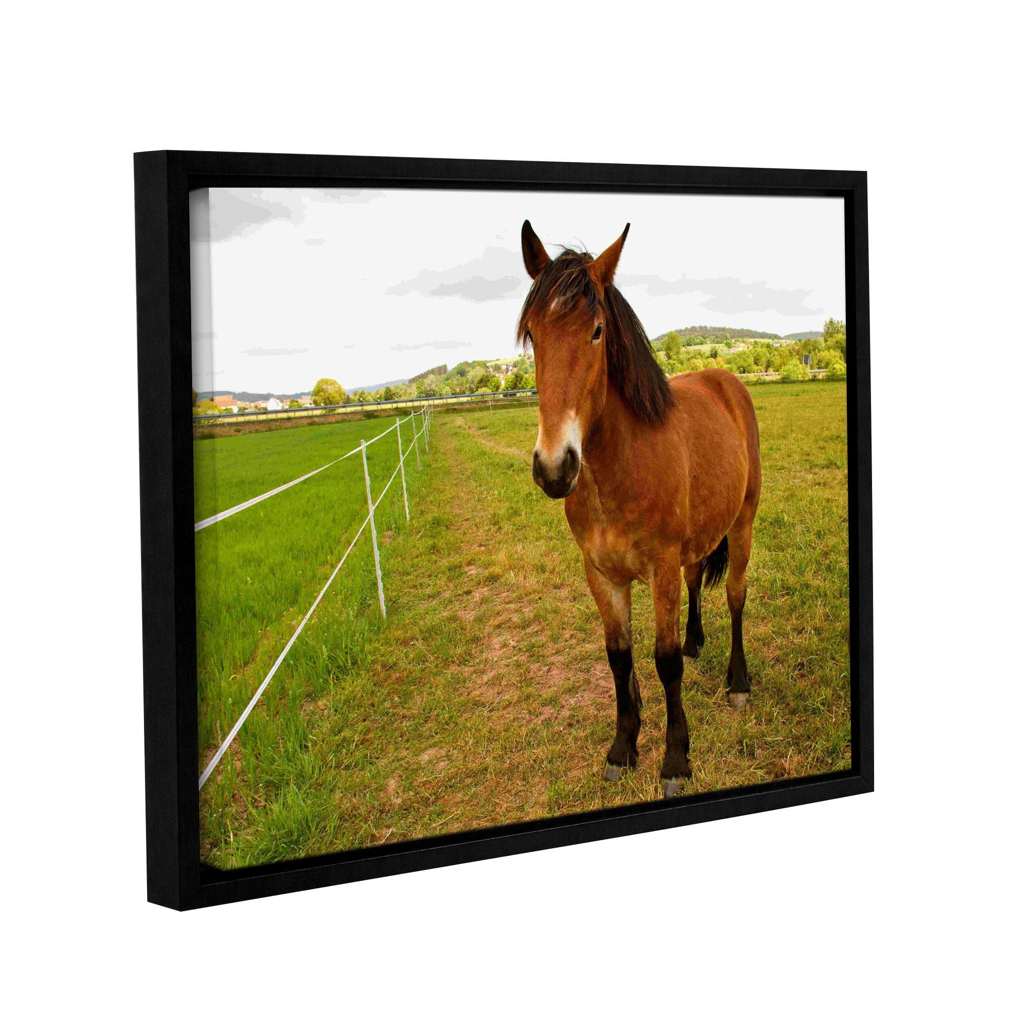 ArtWall Lindsey Janich "Horse Painted II" Gallery-Wrapped Floater-Framed Canvas