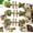 3PCS, variant on Fix Cat Dental with Catnip and Silvervine
, Natural Dental Chew Toys for Cats Teeth Cleaning, Fishbone Shape Cat Teething, Cat Chew with Catnip, Durable Feline Tooth Care Tool