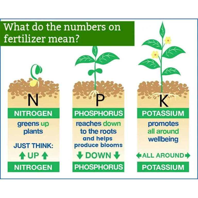 Gardenera 6 6 6 All Purpose Professional Garden Fertilizer Nourish Your Plants for Healthy Growth and Vibrant Blooms 1 QUART