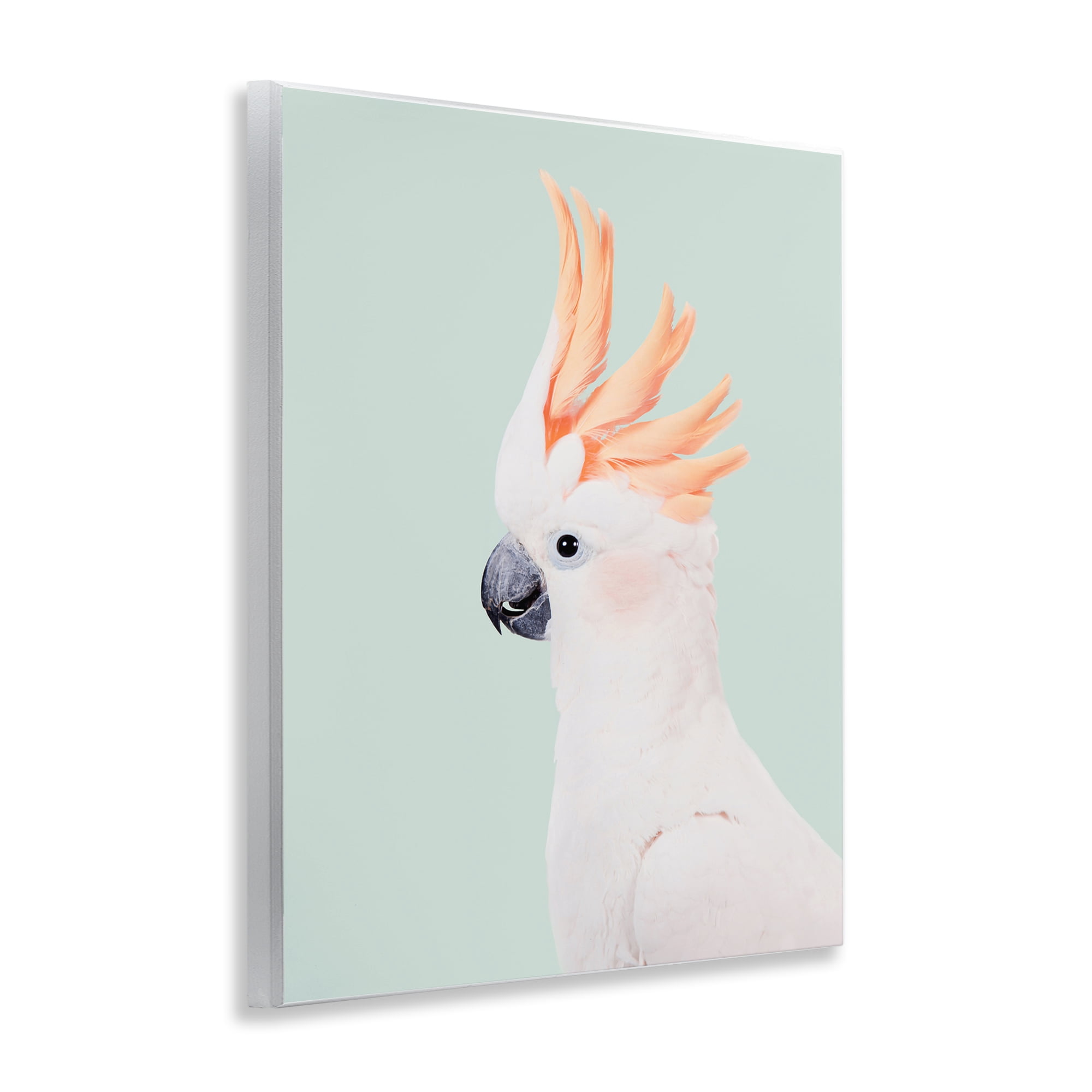 Stupell Industries White Cockatoo Portrait Animals Painting Unframed Art Print Wall Art, 11 x 14
