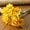 Yellow, variant on 6PCS Artificial Daffodils Flowers Silk Daffodils Spring Yellow Flowers Fake Spring Plants for Spring Home Kitchen Decor