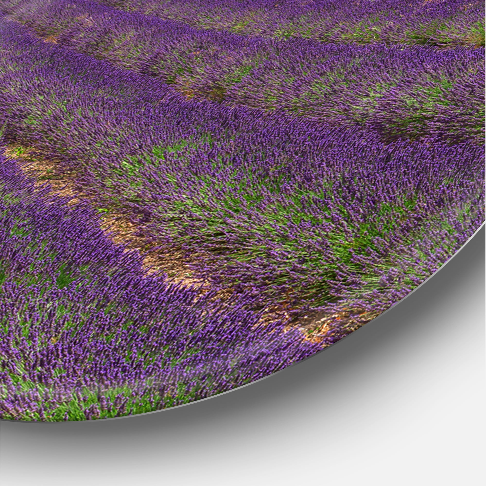 Designart 'Abbey With Lavender Field In France' Farmhouse Circle Metal Wall Art 36x36 - Disc of 36