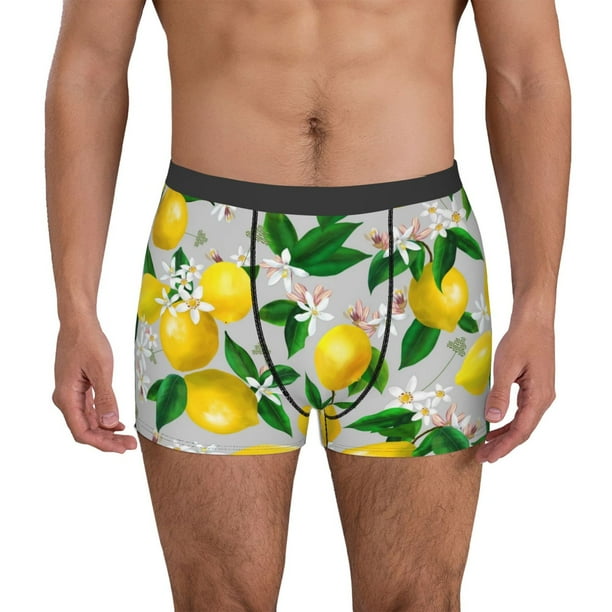 Fotbe Lemon Seamless Pattern Oil Painting Effect Calzoncillos Tipo Boxer con Bolsa de Soporte Total para Hombre, X-Temp Fresco, Transpirable y de Secado Rápido-XX-Large