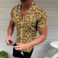 thumbnail image 2 of Camisa de playa hawaiana para hombre Camisa bohemia de verano Pompotops oipoqjl46517, 2 of 6