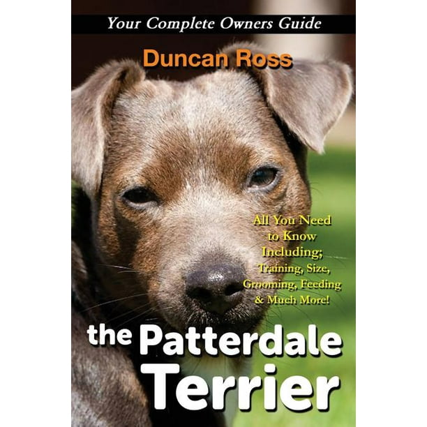 do patterdale terriers need grooming