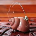 thumbnail image 1 of Y-Loong Squirting On Conch Tea Pet Tea Crafts For Tea Ideal Ornts-Yogu, 1 of 1