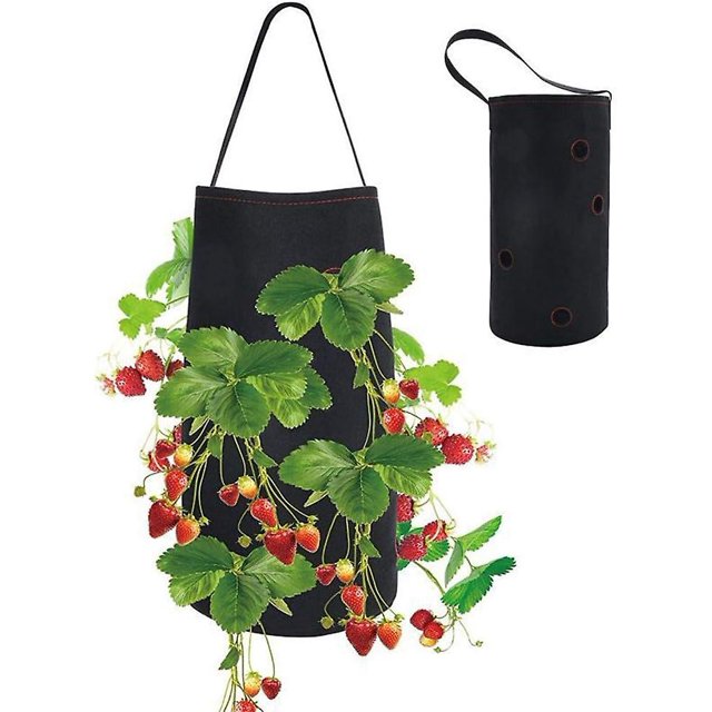 Bolsa para plantar fresas CHAO 38x22cm cultivo jardín plantas hierbas flores